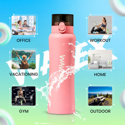 550ml Pink Stainless Steel Water Bottle+1 Honey Peach Aroma Scent Pod